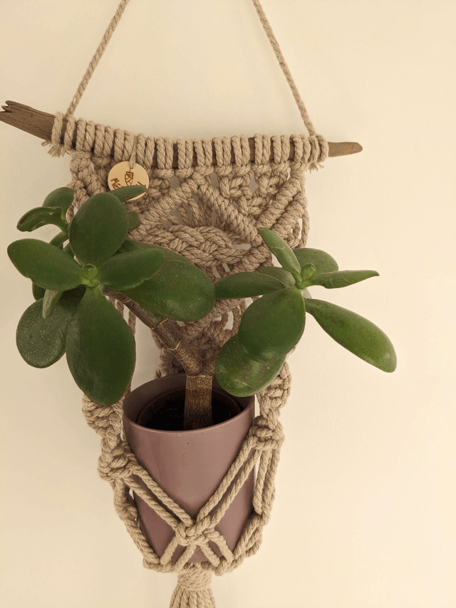Porte-plante Iridys