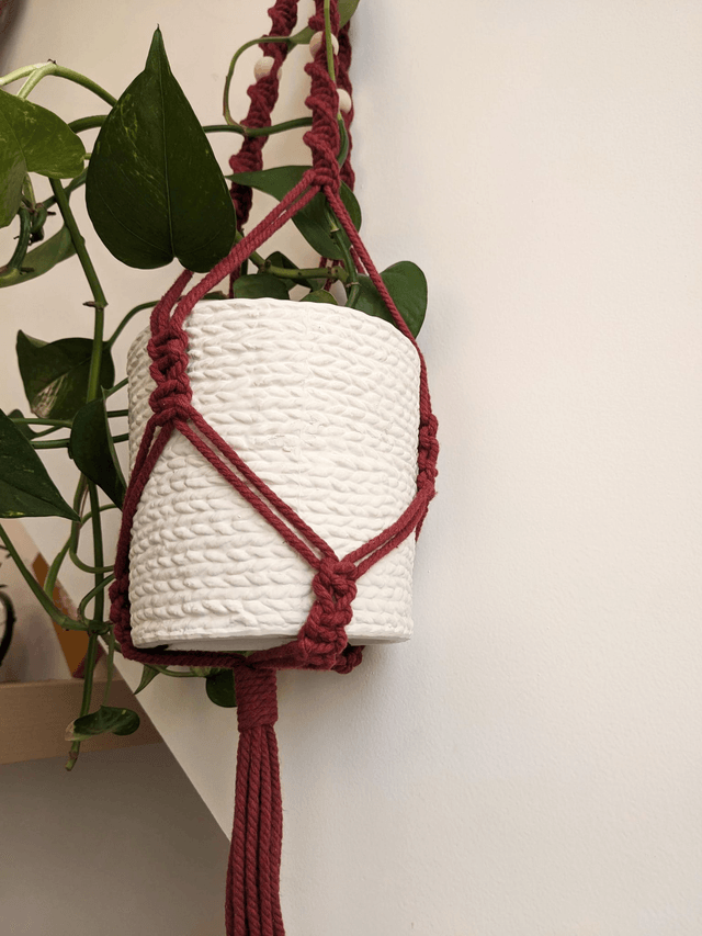 Porte-plante Aloevia