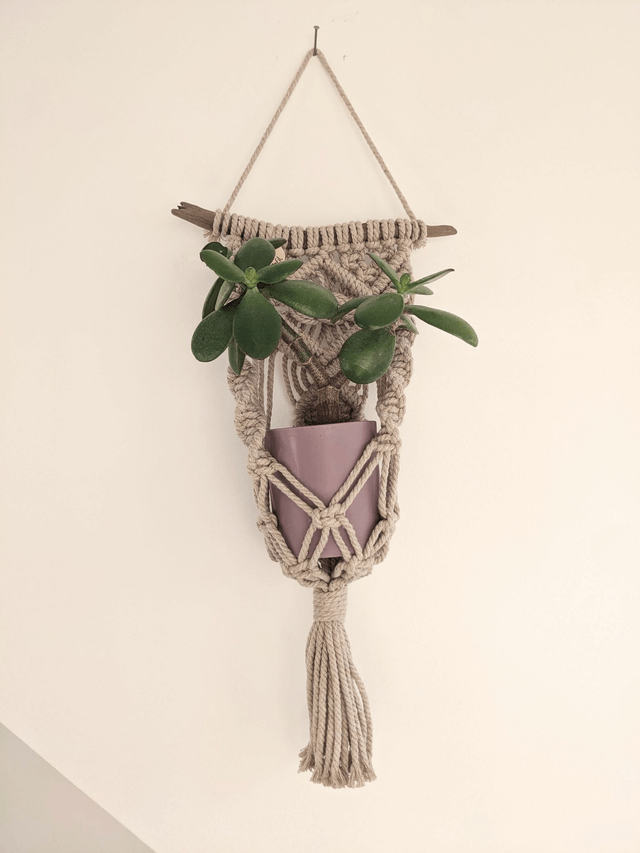 Porte-plante Iridys