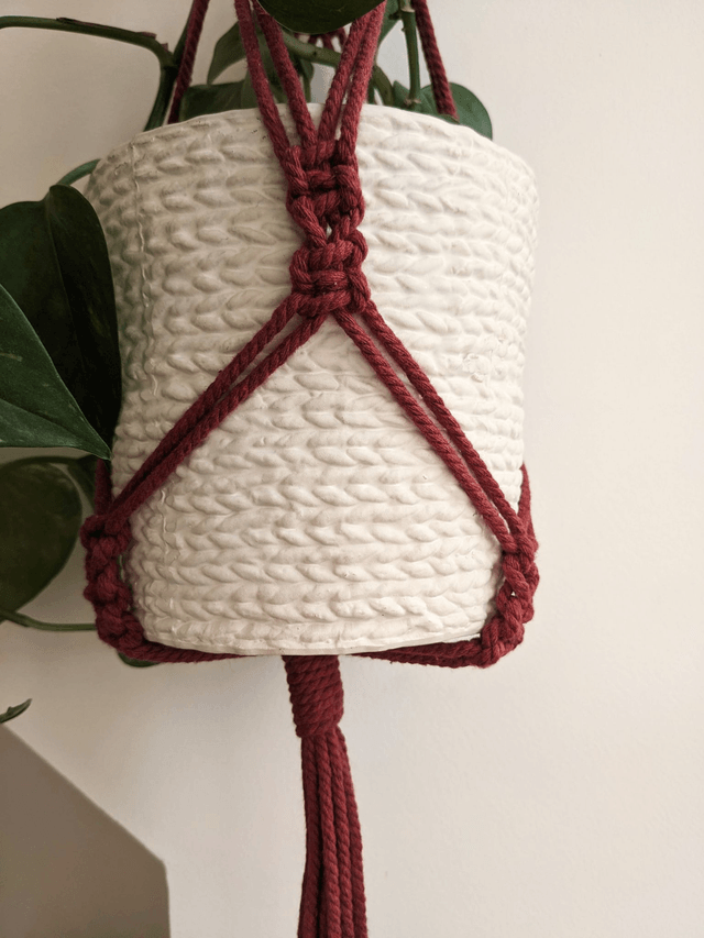 Porte-plante Aloevia