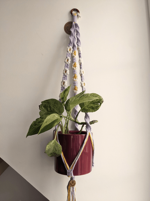 Porte-plante Freesia M