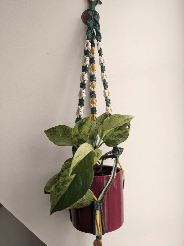 Porte-plante Freesia M