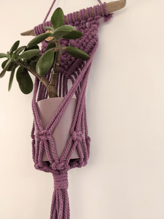 Porte-plante Zamiara