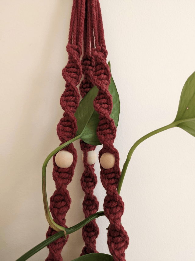 Porte-plante Aloevia
