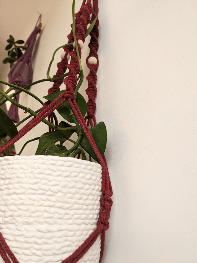 Porte-plante Aloevia