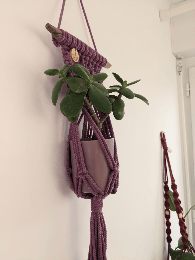 Porte-plante Zamiara
