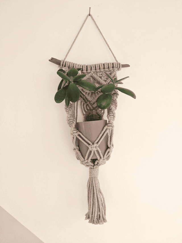 Porte-plante Iridys