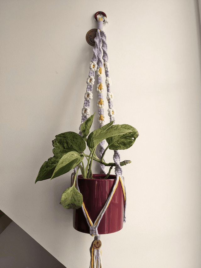 Porte-plante Freesia M