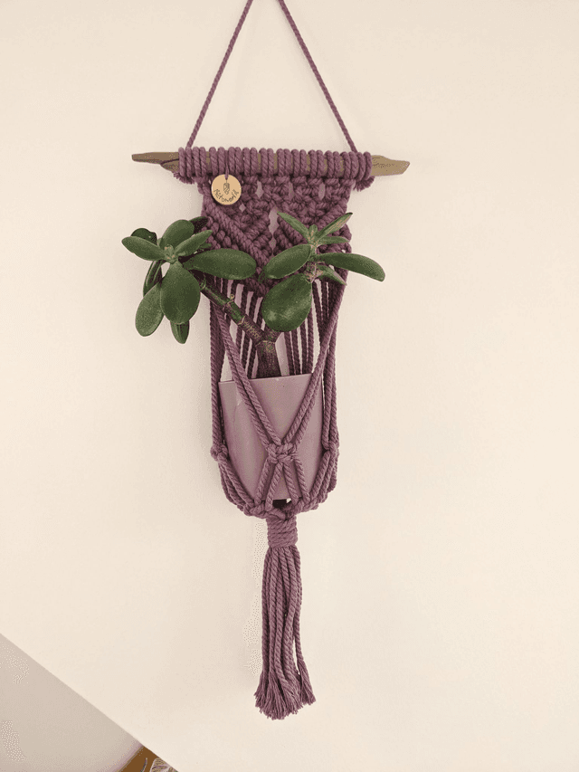 Porte-plante Zamiara